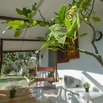 מלון דירות B&B Lido Dei Pini מאטינאטה
