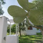 מלון דירות B&B Lido Dei Pini מאטינאטה