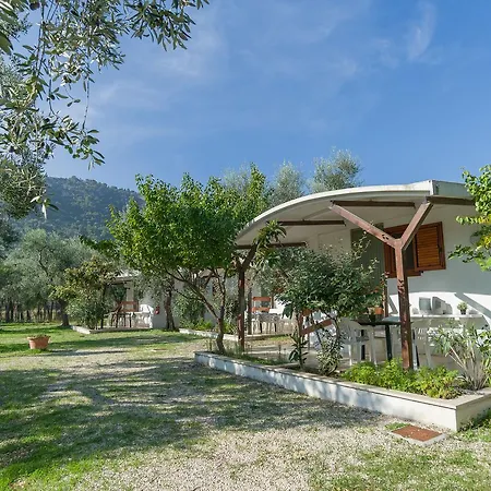 B&B Lido Dei Pini