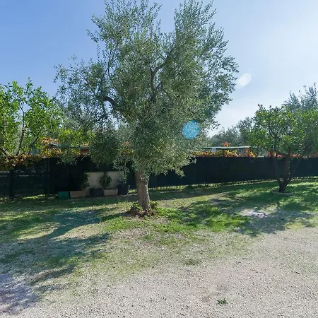 B&B Lido Dei Pini *