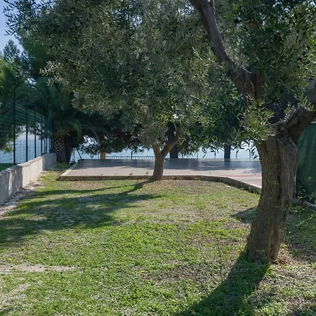 B&B Lido Dei Pini