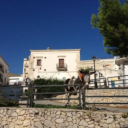 アパートホテル B&B Lido Dei Pini