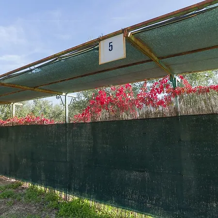 B&B Lido Dei Pini Apartmanhotel