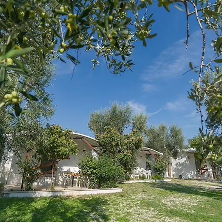 B&B Lido Dei Pini * マッティナータ