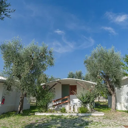 B&B Lido Dei Pini マッティナータ