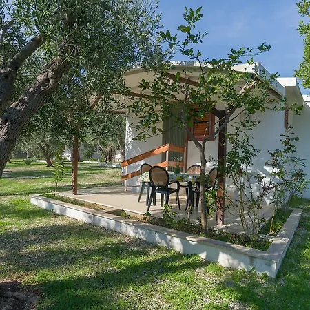 B&B Lido Dei Pini * マッティナータ