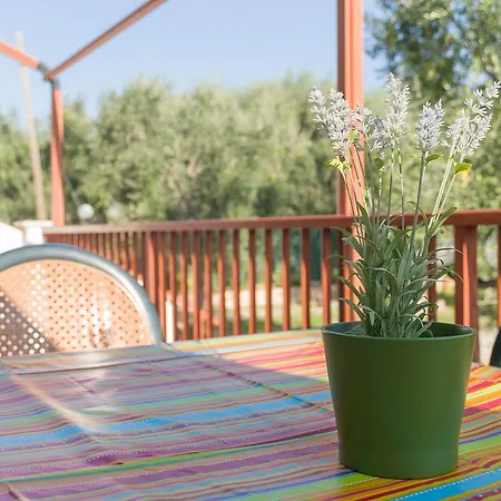 B&B Lido Dei Pini Aparthotel *