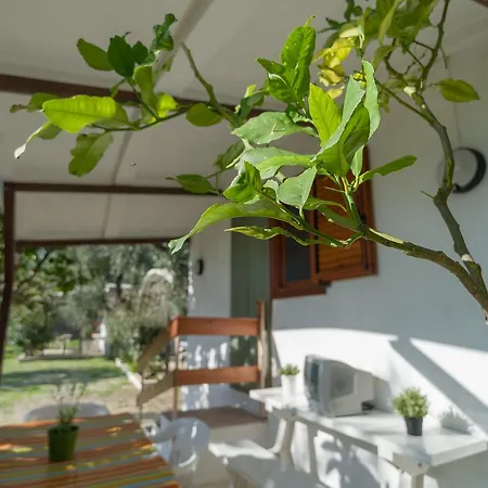 Apartmanhotel B&B Lido Dei Pini Mattinata