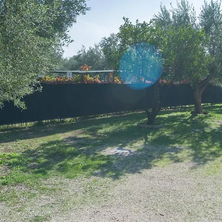 B&B Lido Dei Pini Apartmanhotel