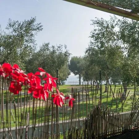 Apartmanhotel B&B Lido Dei Pini