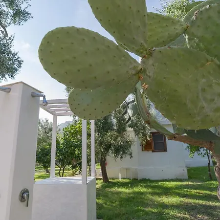 Apartmanhotel B&B Lido Dei Pini Mattinata