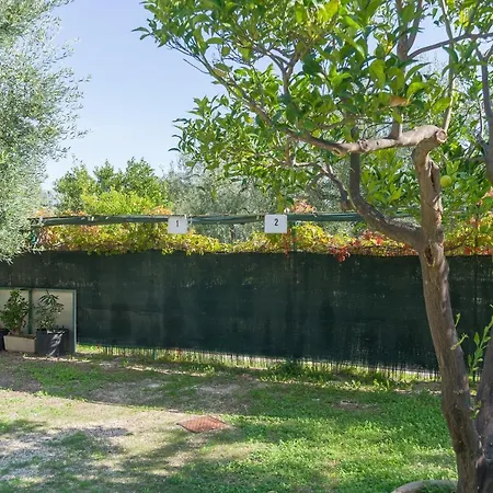 B&B Lido Dei Pini Apartmanhotel *