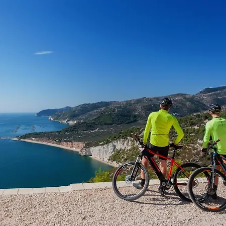B&B Lido Dei Pini Mattinata