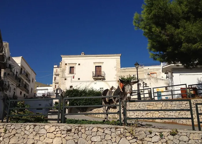 מלון דירות B&B Lido Dei Pini