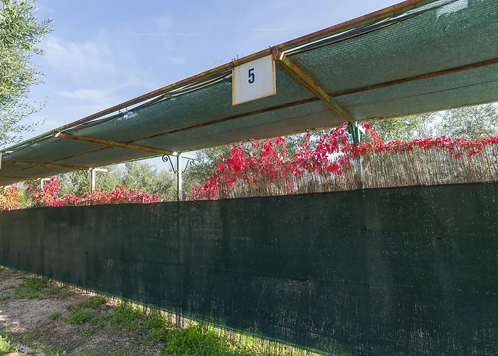 B&B Lido Dei Pini アパートホテル