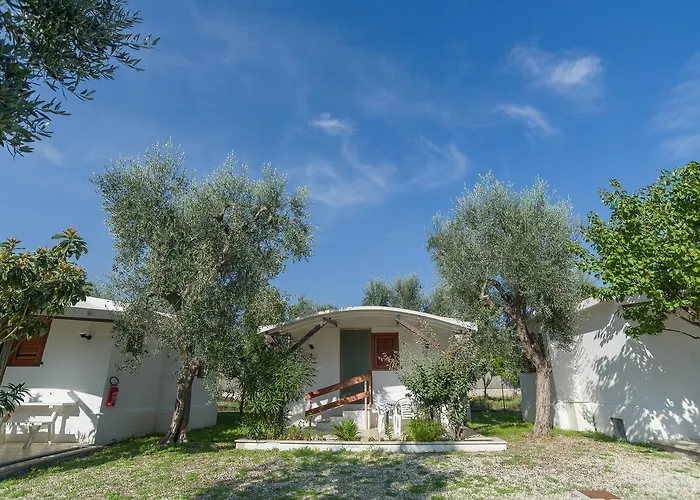 B&B Lido Dei Pini מאטינאטה