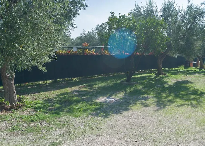 B&B Lido Dei Pini מלון דירות