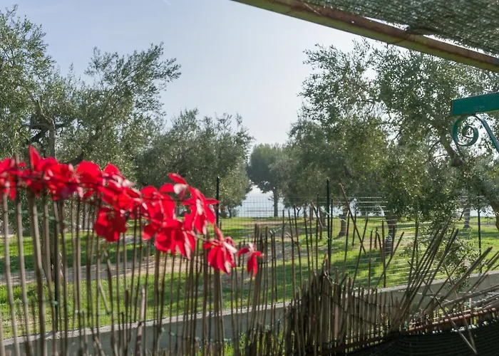 מלון דירות B&B Lido Dei Pini