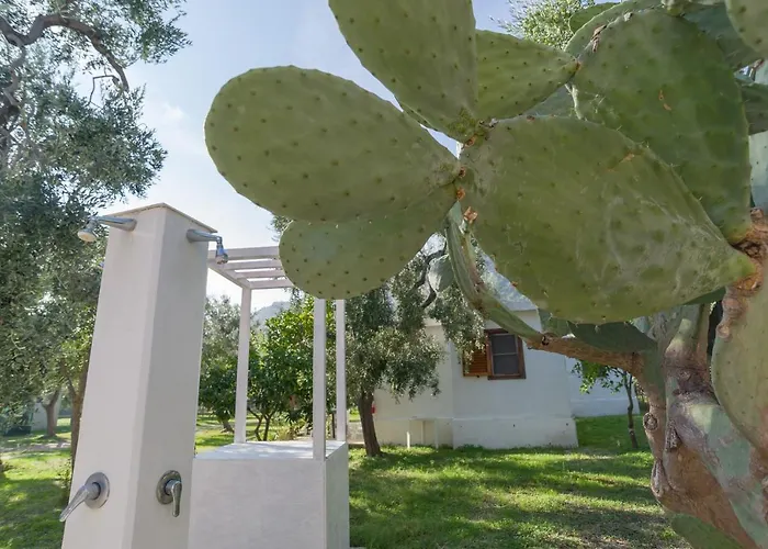 מלון דירות B&B Lido Dei Pini מאטינאטה