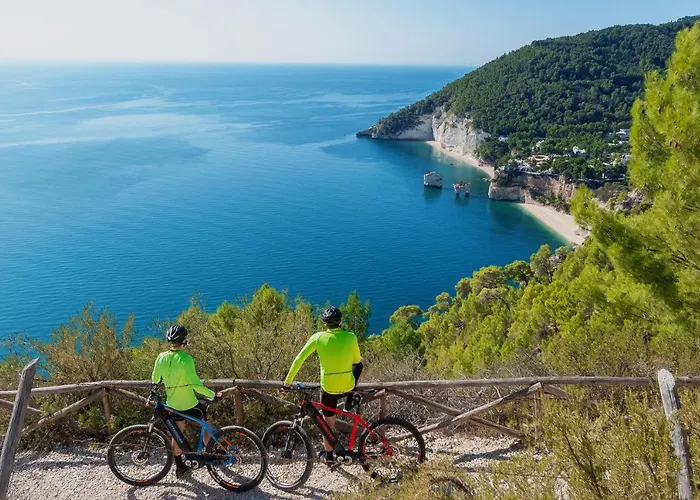 B&B Lido Dei Pini מלון דירות